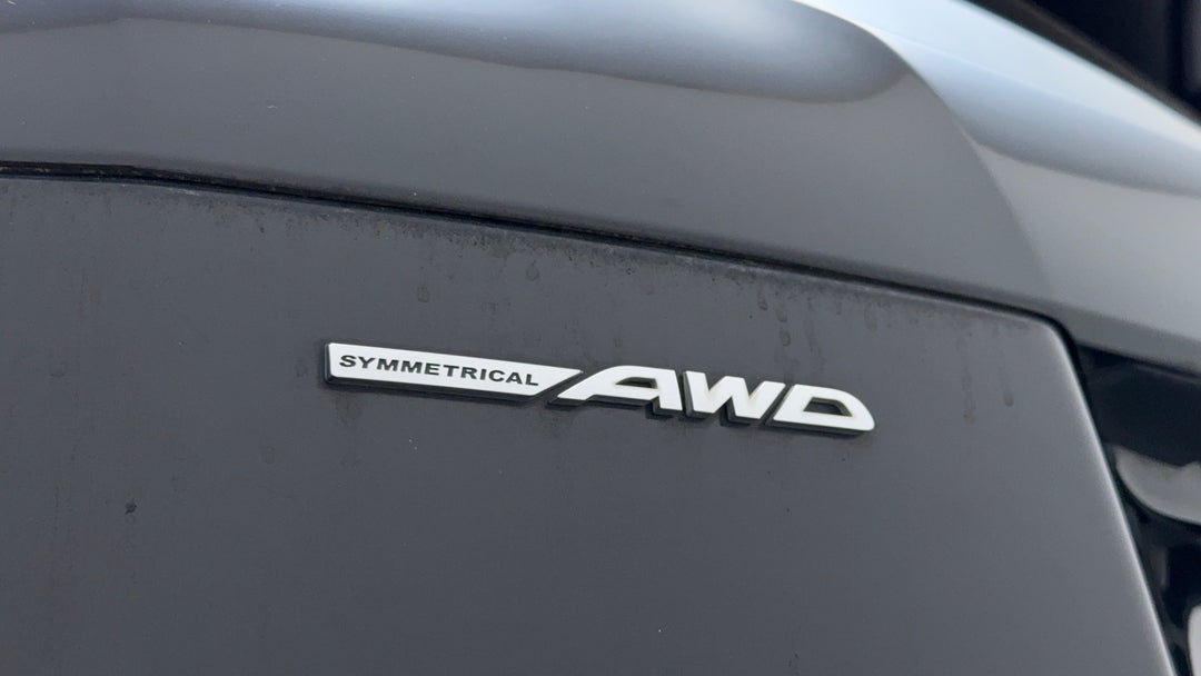 Badge (Boot Left Side)