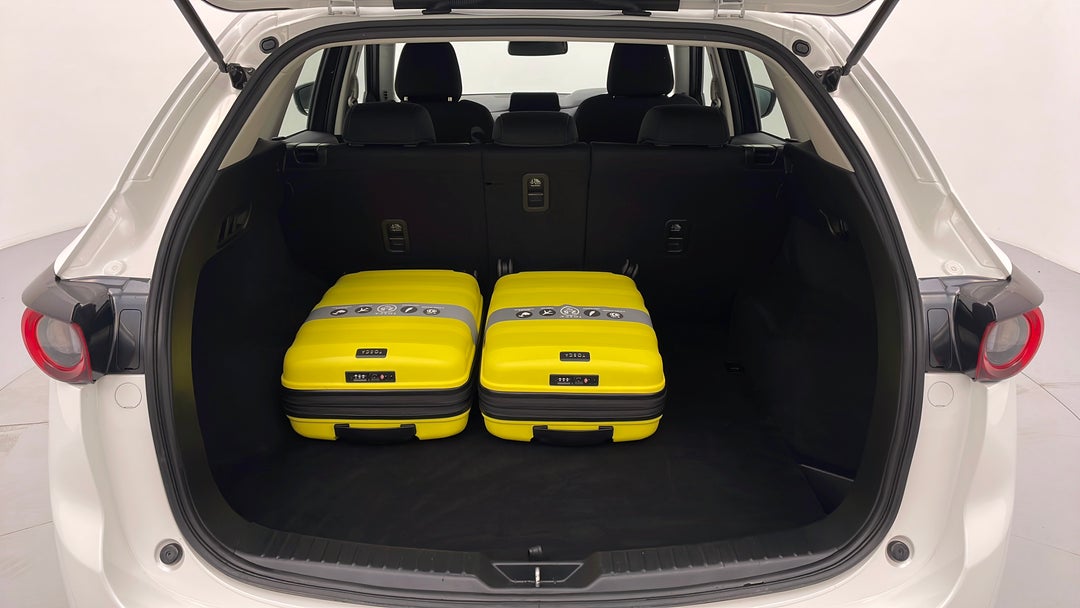 Boot Inside View with Luggage