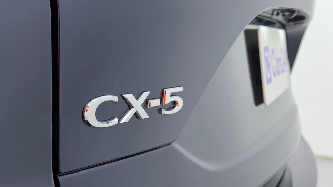 Badge (Boot Left Side)