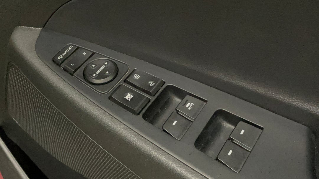 Drivers Side Door Panel Controls