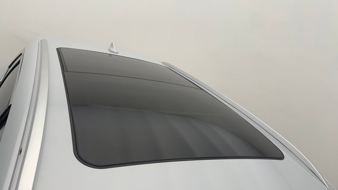 Roof/Sunroof View
