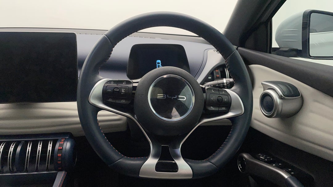 Steering Wheel Close-up