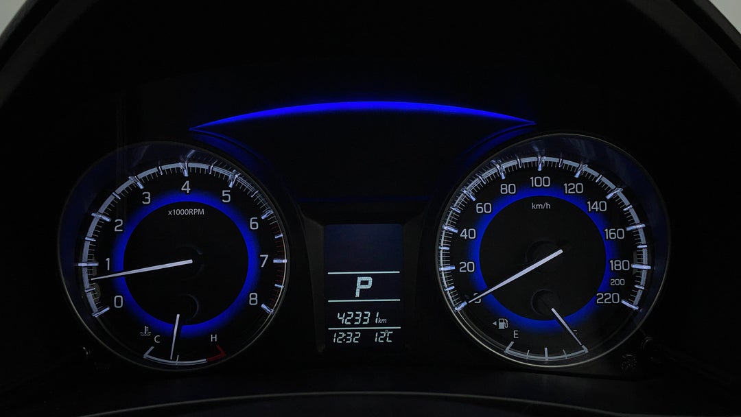 Odometer View