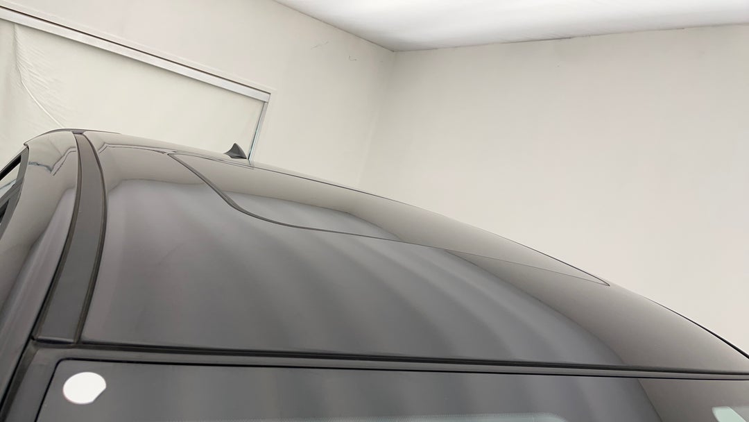 Roof/Sunroof View