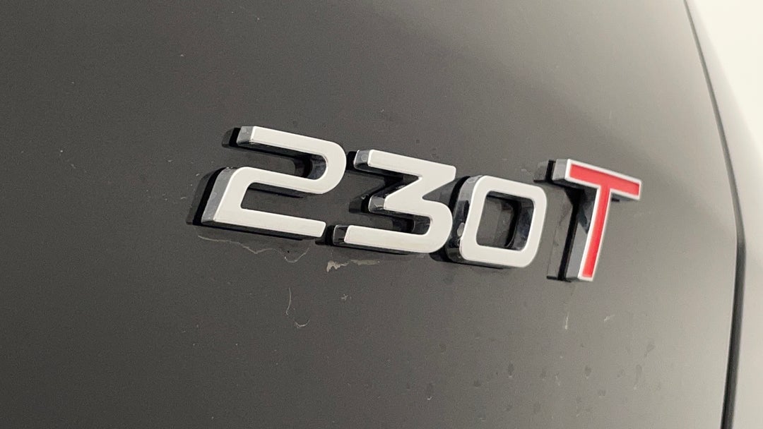 Badge (Boot Right Side)