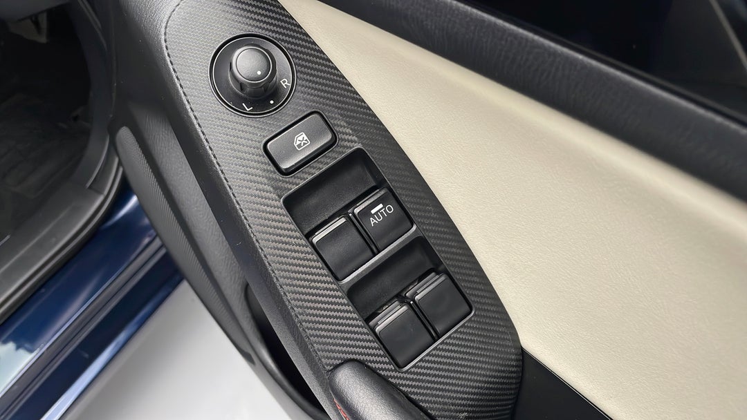 Drivers Side Door Panel Controls