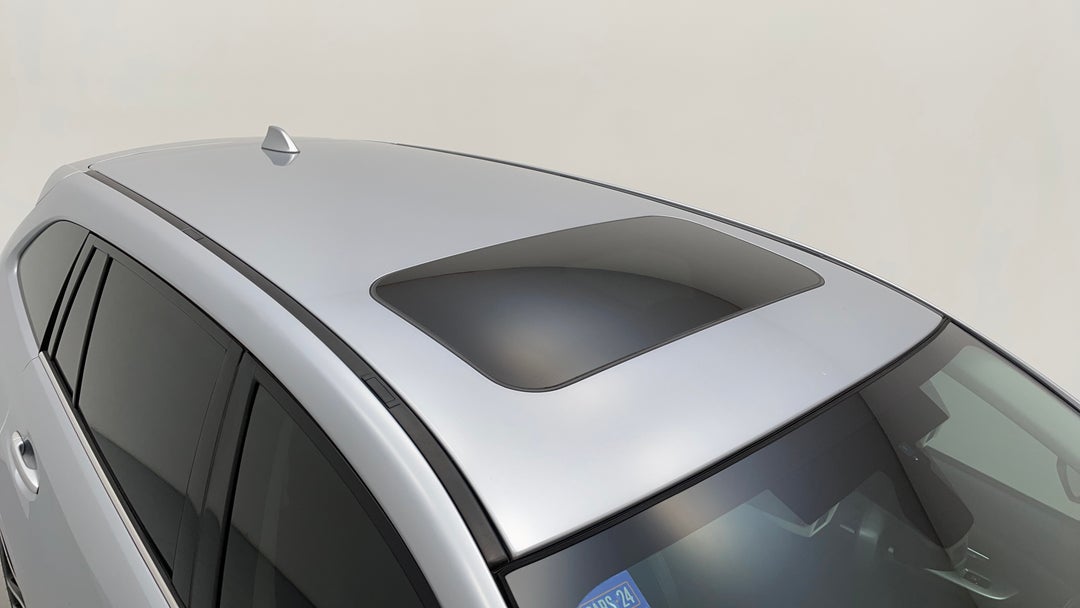 Roof/Sunroof View