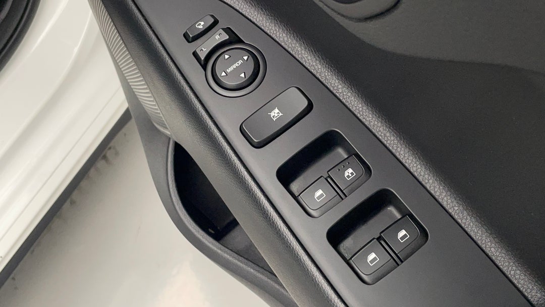 Drivers Side Door Panel Controls
