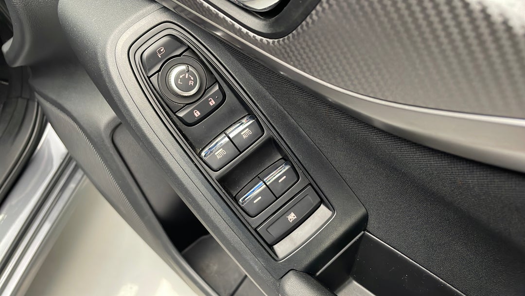 Drivers Side Door Panel Controls