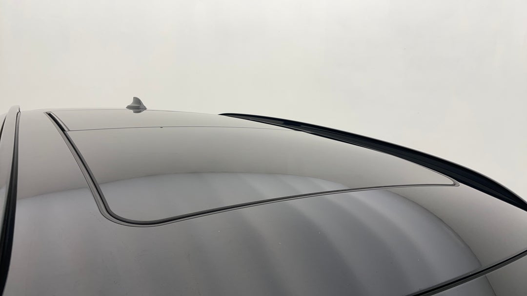 Roof/Sunroof View