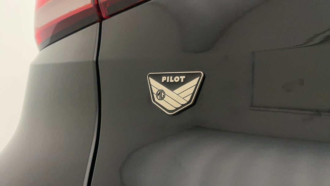 Badge (Boot Left Side)