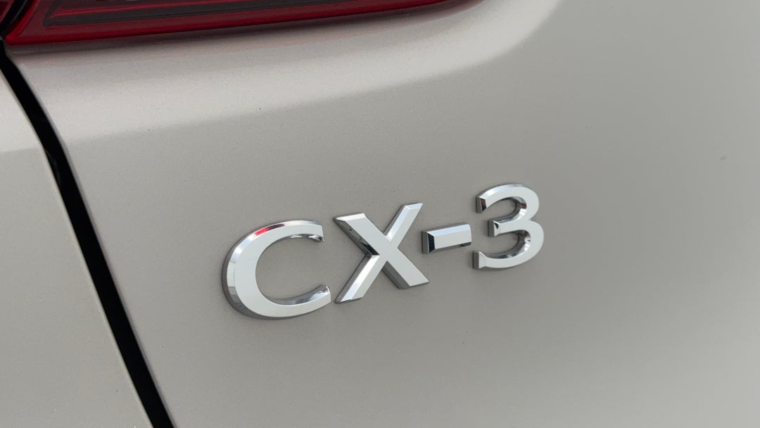 Badge (Boot Left Side)