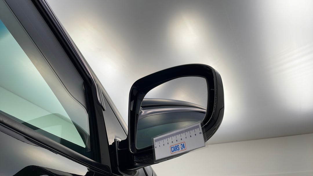 Side Mirrors Housing RHS Chip