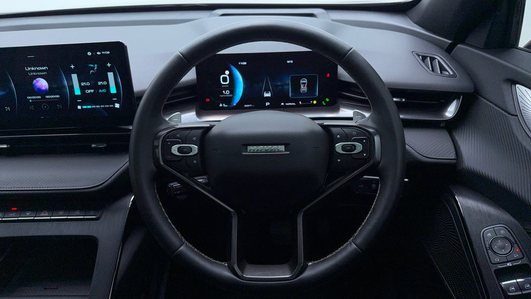 Steering Wheel Close-up