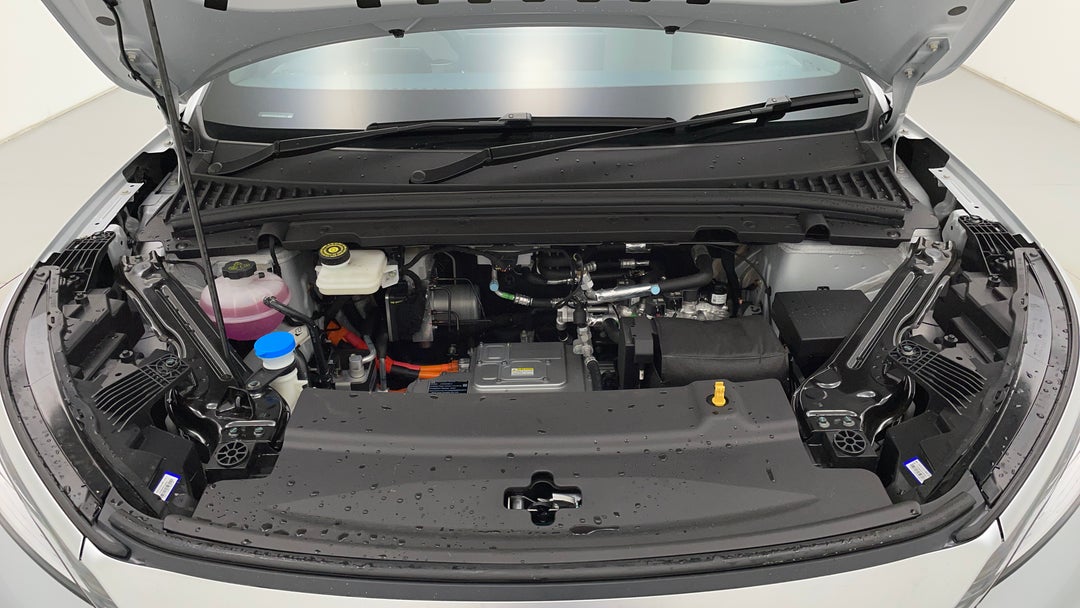 Open Bonnet (Engine)