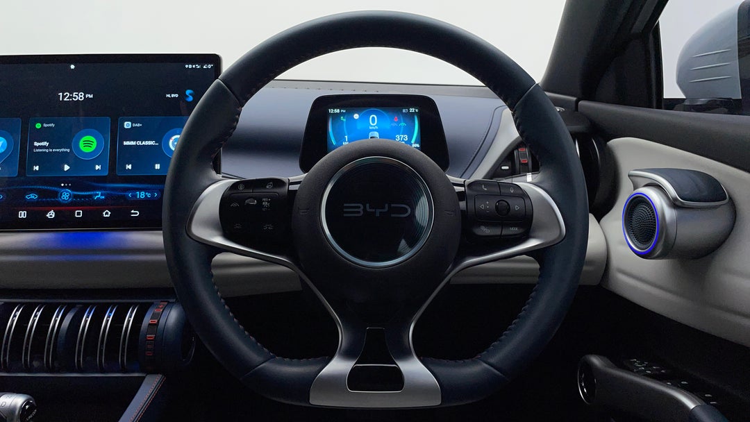 Steering Wheel Close-up