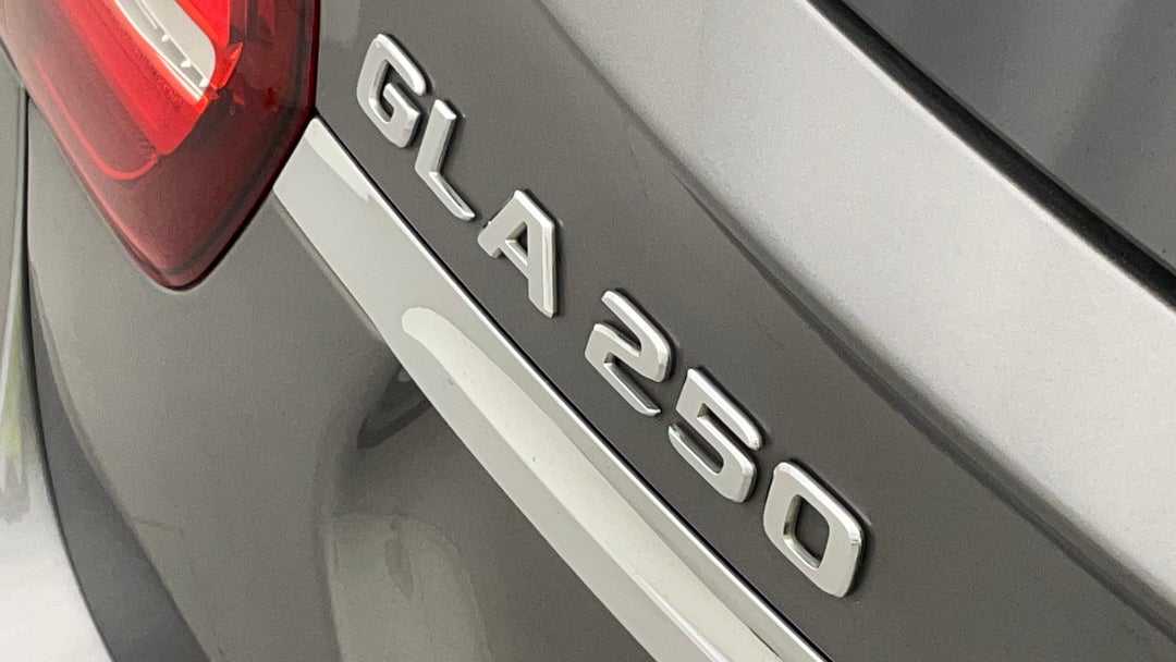 Badge (Boot Left Side)