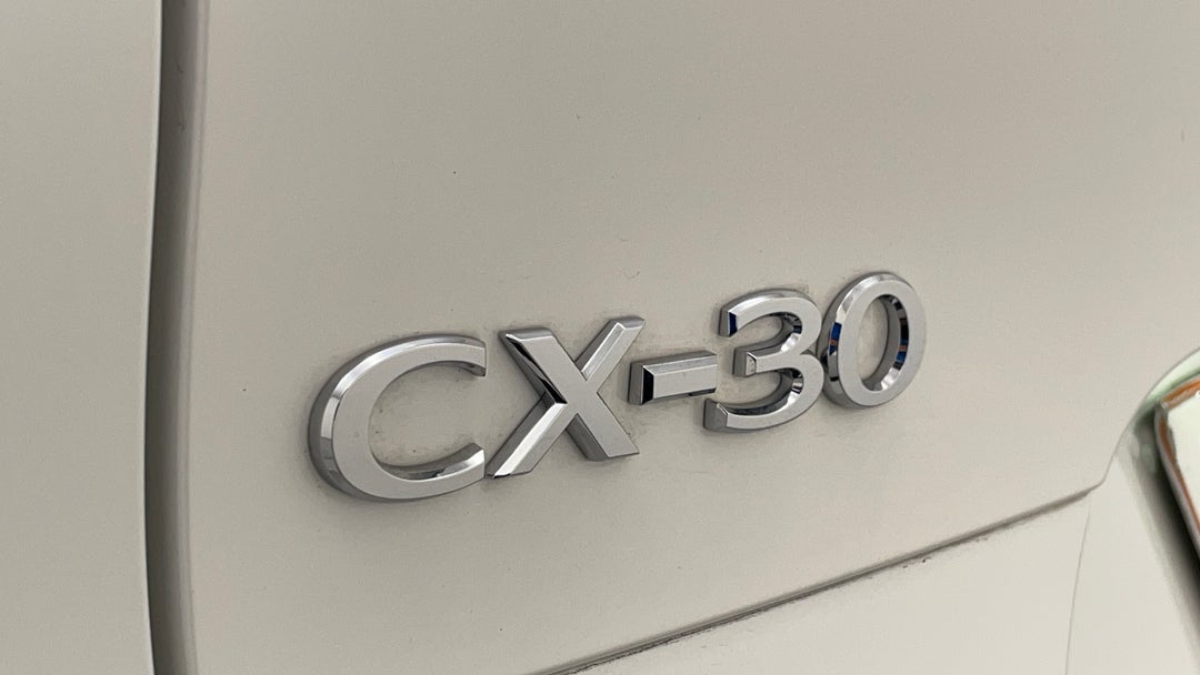 Badge (Boot Left Side)