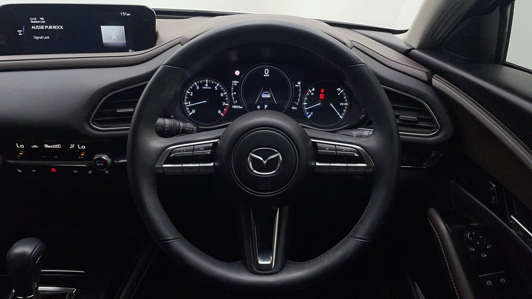 Steering Wheel Close-up
