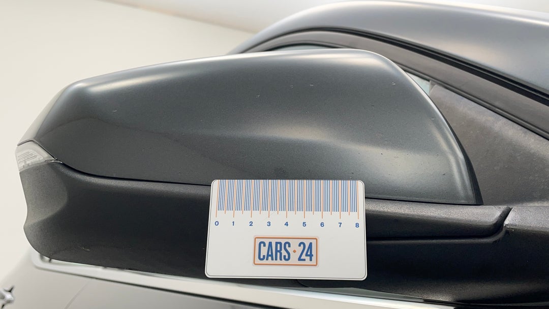 Side Mirrors Housing RHS Chip