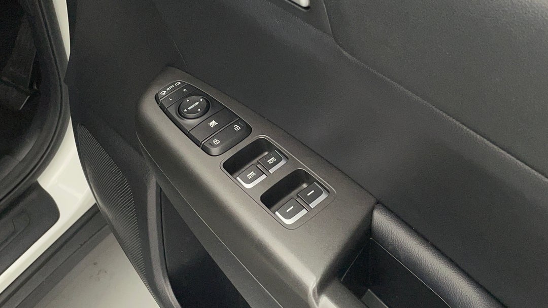 Drivers Side Door Panel Controls