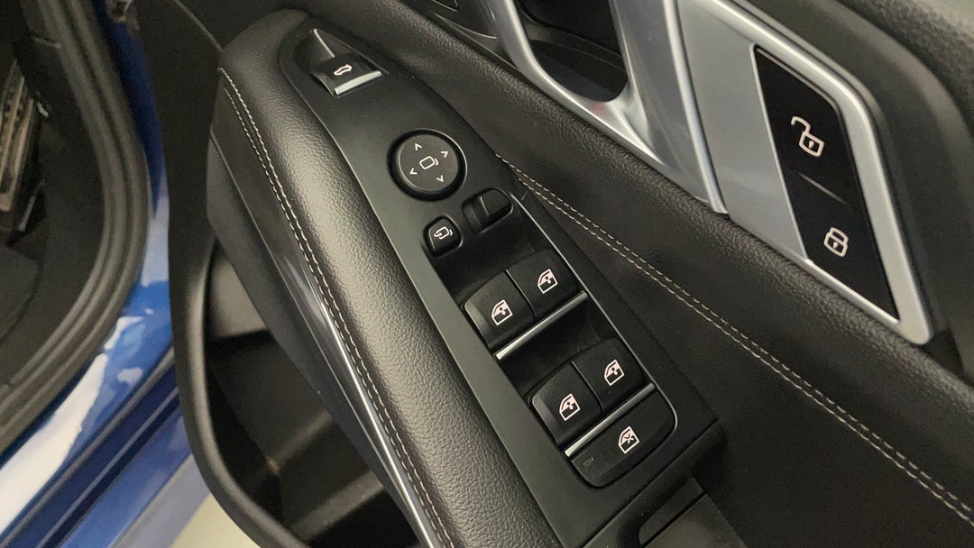 Drivers Side Door Panel Controls