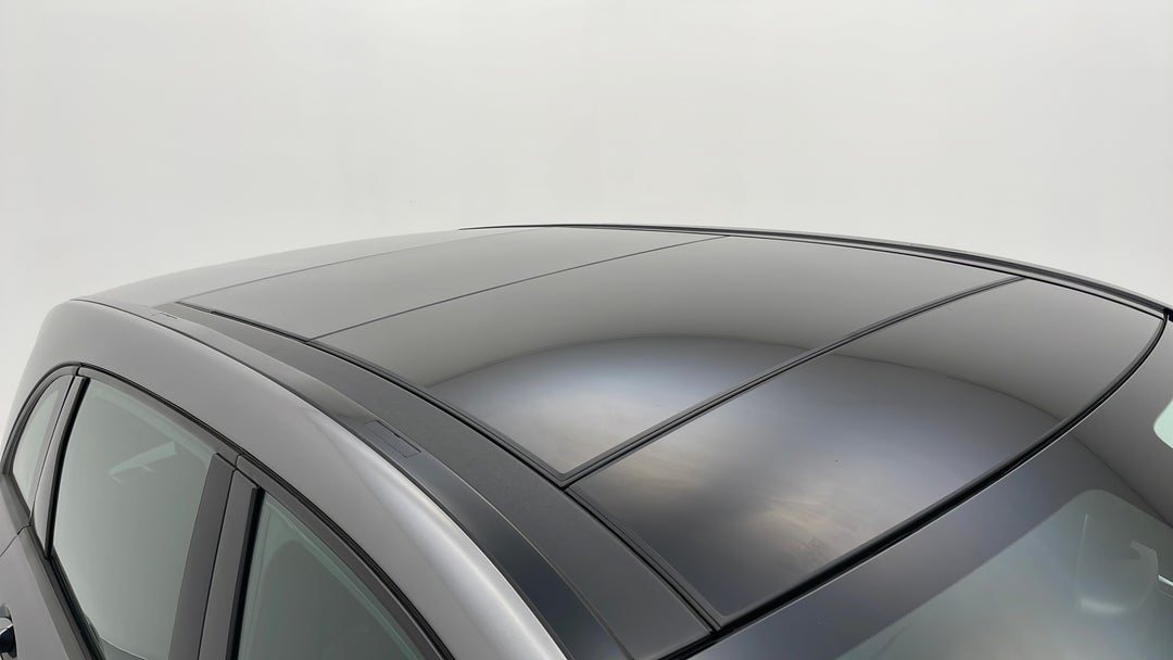 Roof/Sunroof View