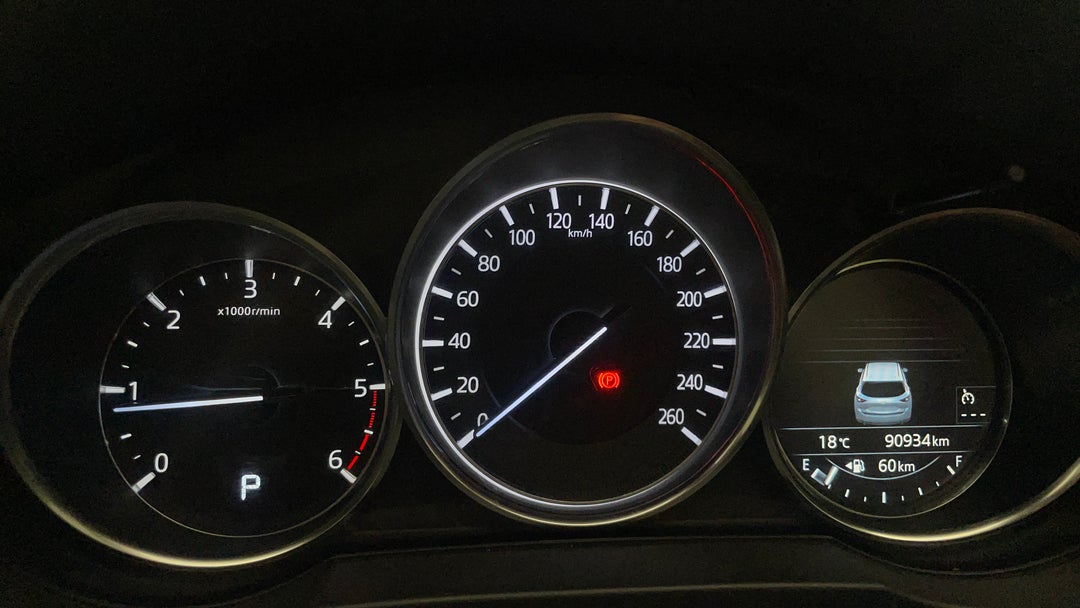 Odometer View