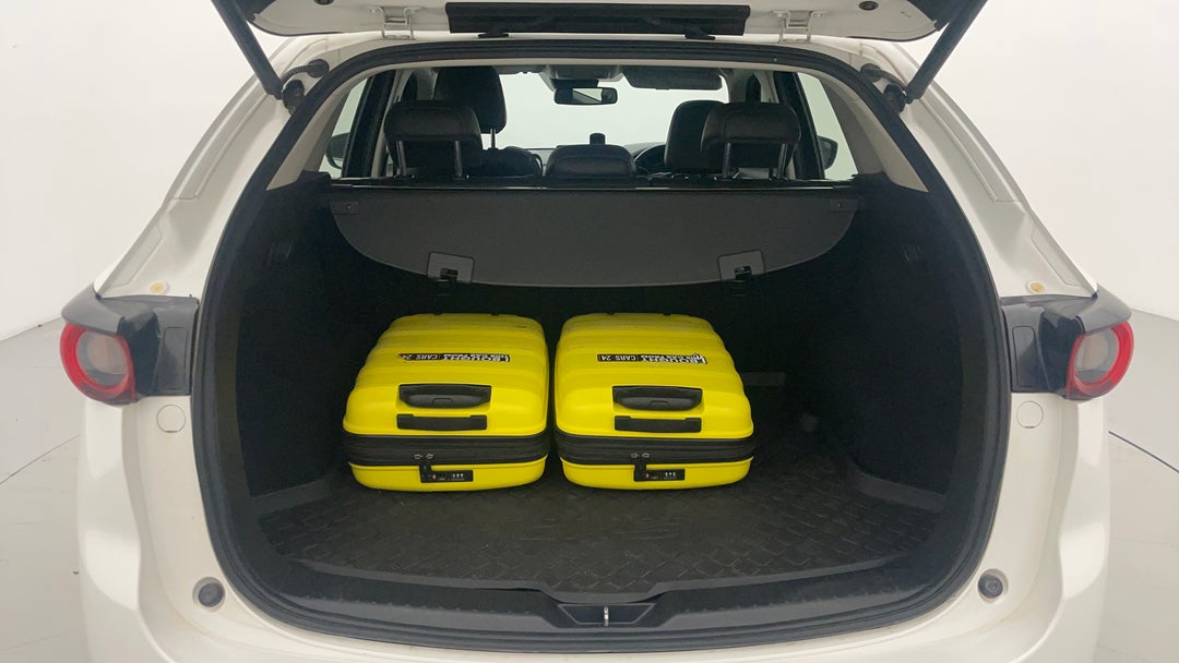Boot Inside View with Luggage