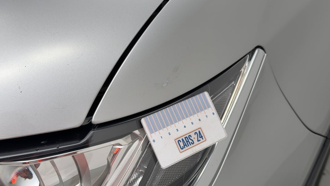 Quarter Panel Front LHS Guard Chip