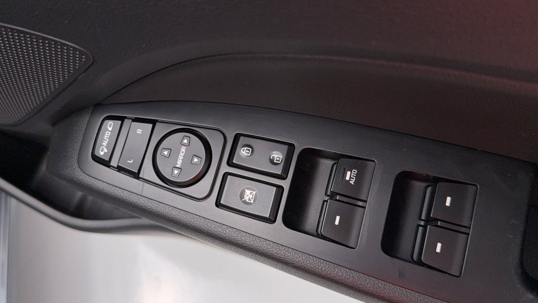 Drivers Side Door Panel Controls
