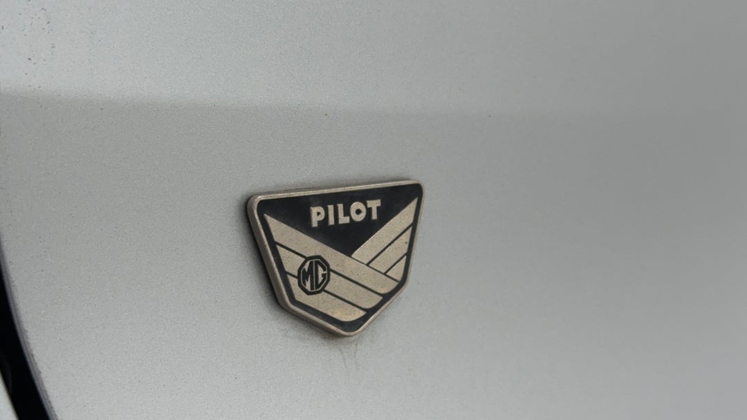 Badge (Boot Left Side)