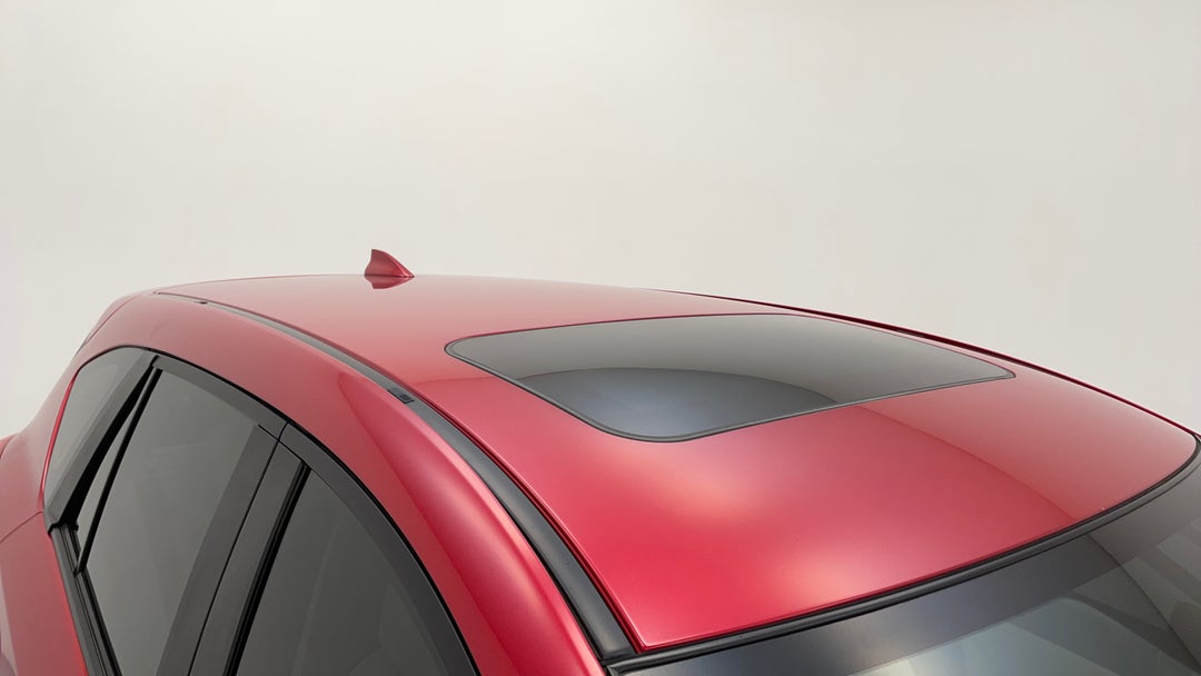 Roof/Sunroof View