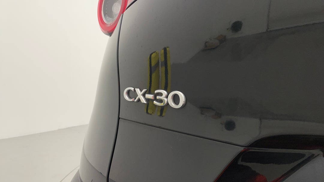 Badge (Boot Left Side)