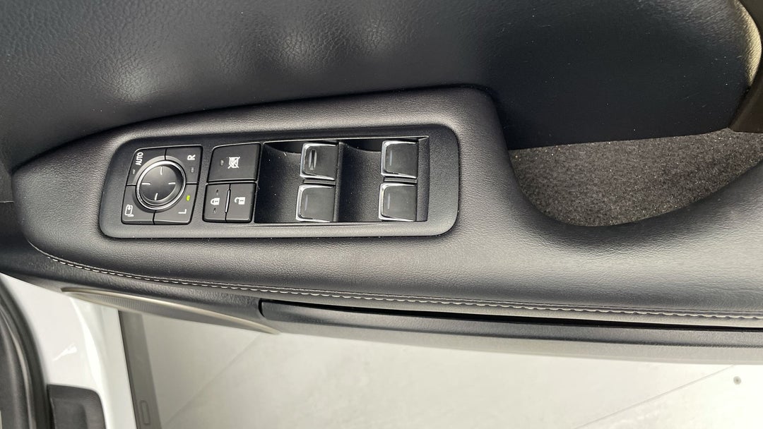 Drivers Side Door Panel Controls