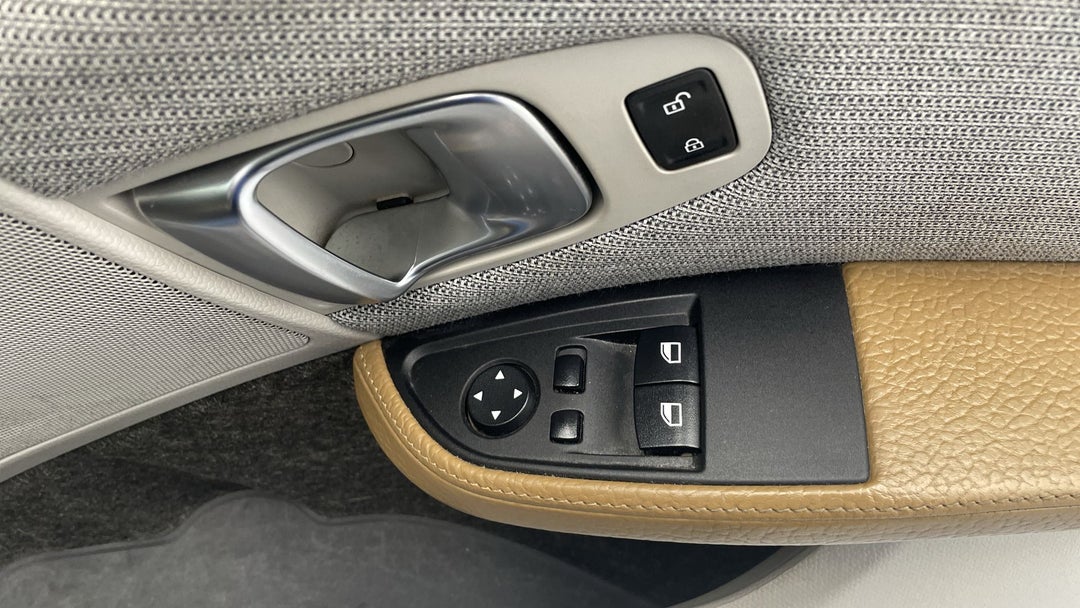Drivers Side Door Panel Controls