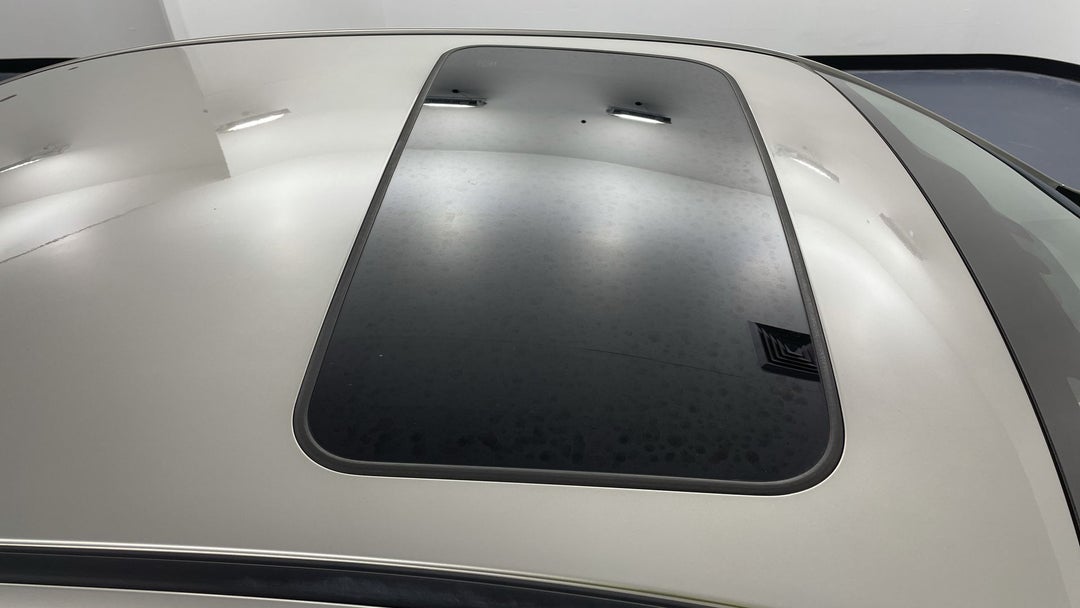 Roof/Sunroof View