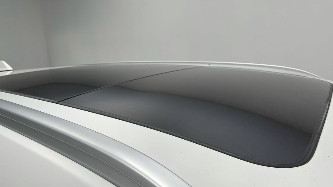 Roof/Sunroof View