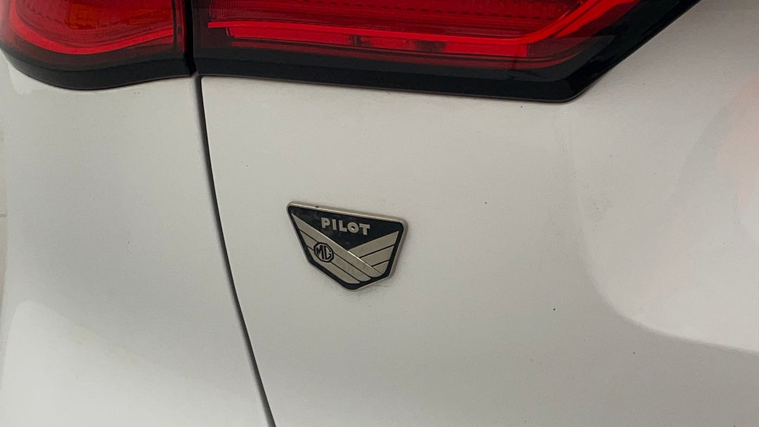 Badge (Boot Left Side)