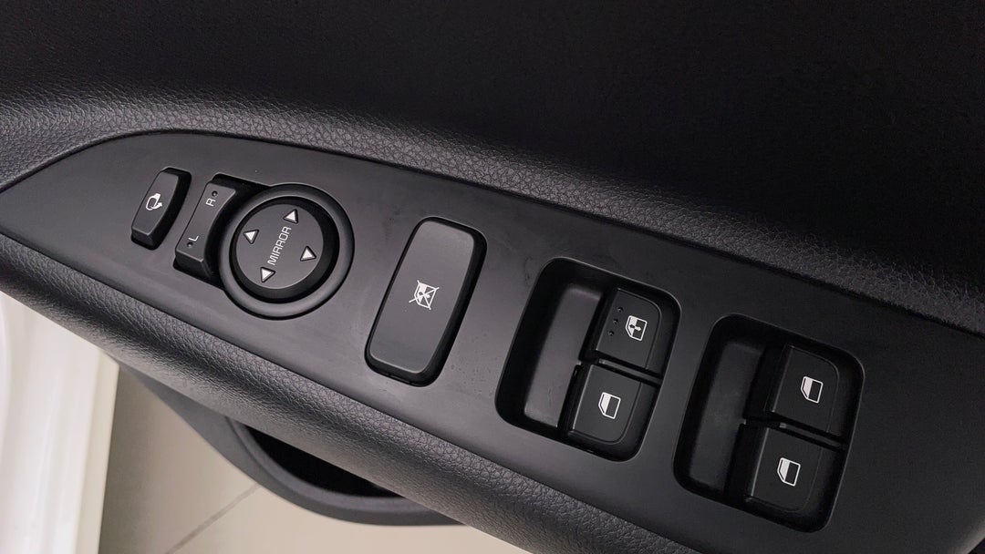 Drivers Side Door Panel Controls