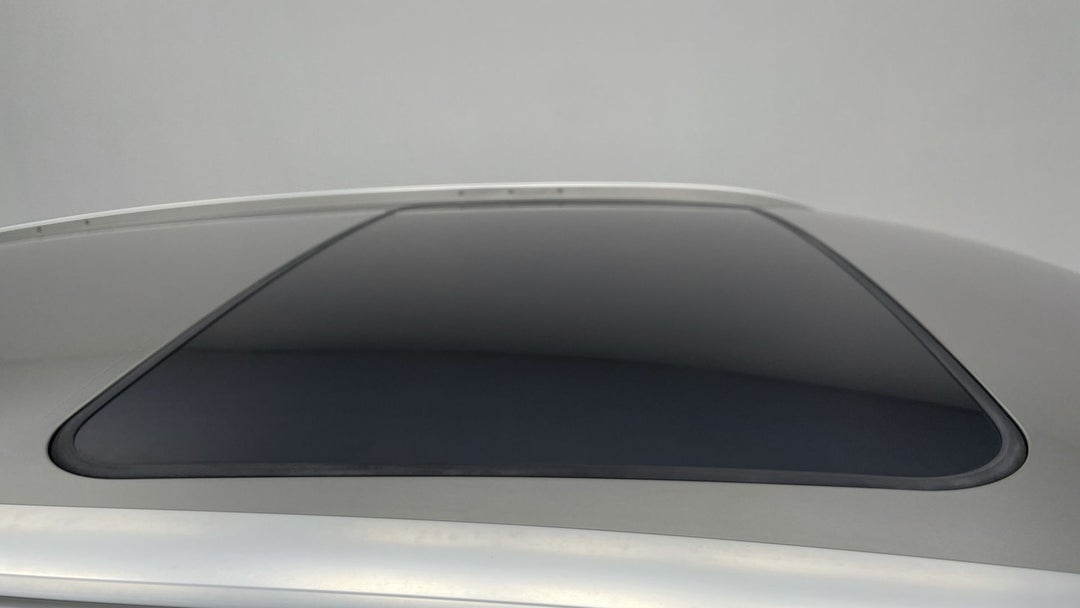 Roof/Sunroof View
