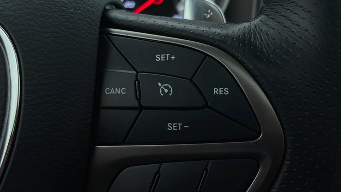 DODGE CHARGER-Drivers Control