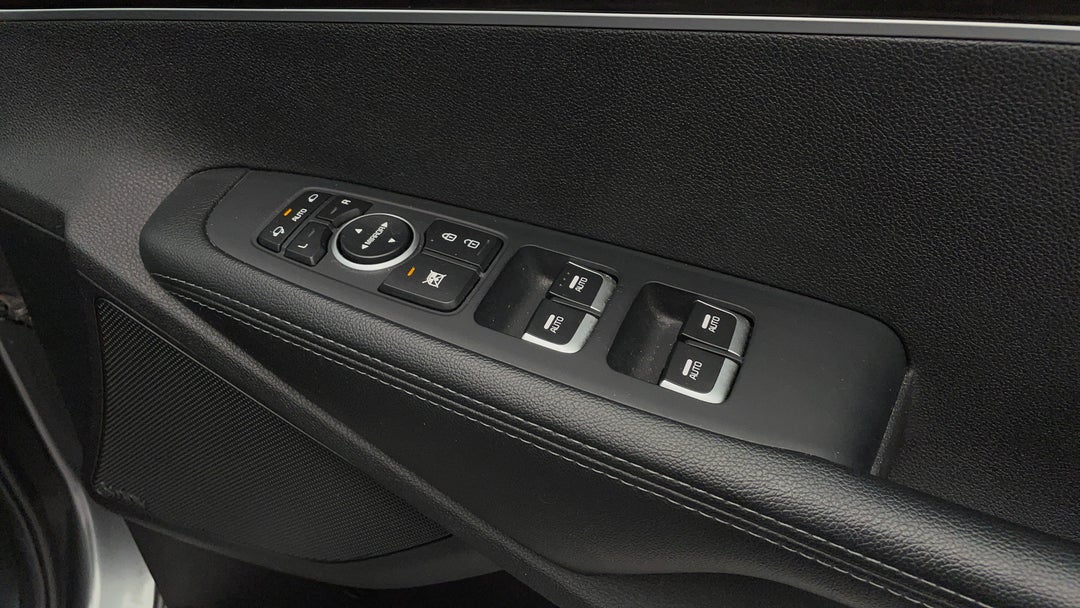 Drivers Side Door Panel Controls