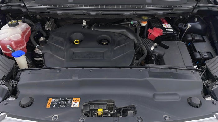 FORD EDGE-Engine Bonet View