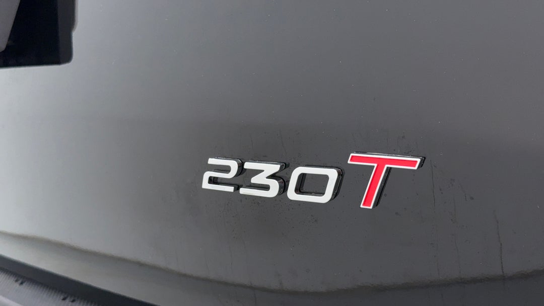 Badge (Boot Right Side)