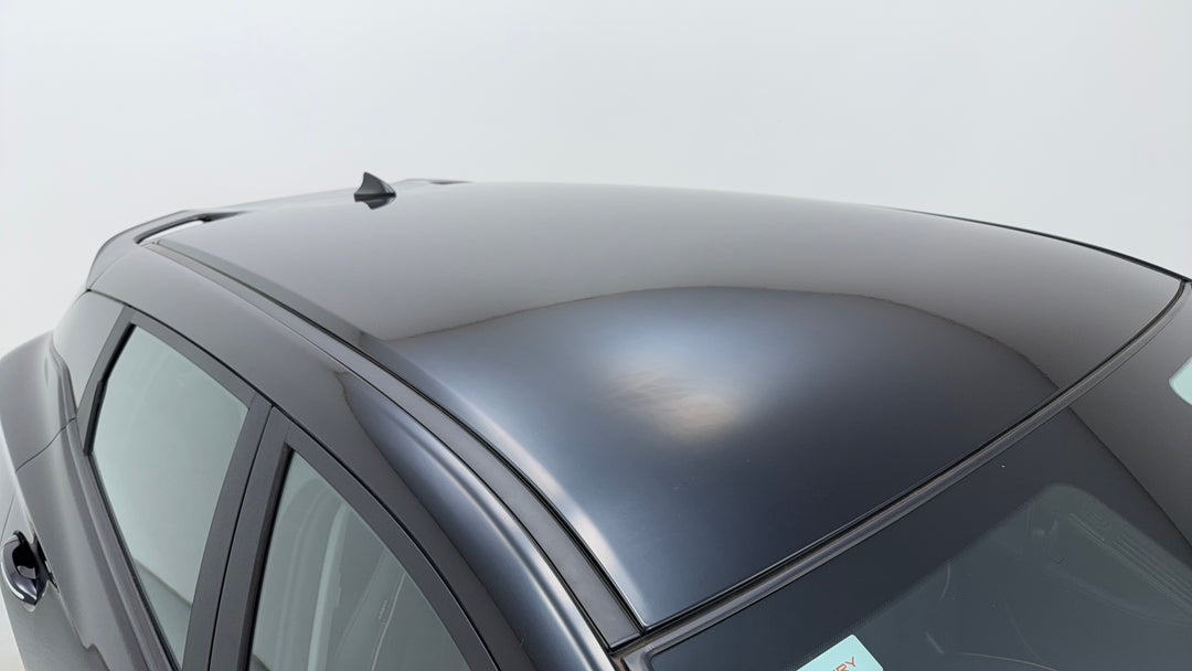 Roof/Sunroof View