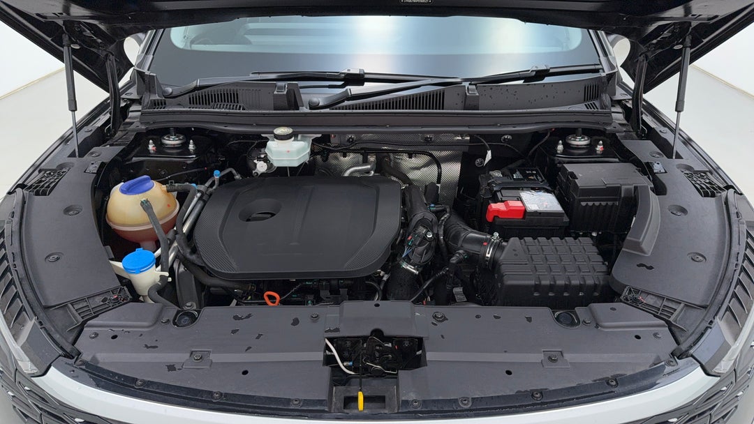Open Bonnet (Engine)