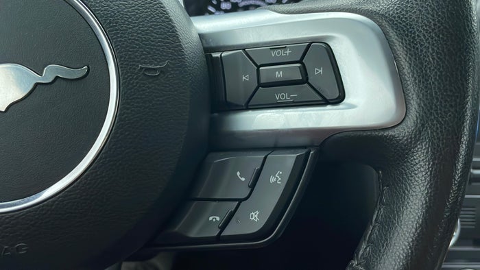 FORD MUSTANG-Drivers Control