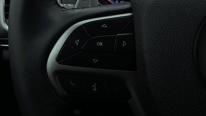 JEEP GRAND CHEROKEE-Drivers Control