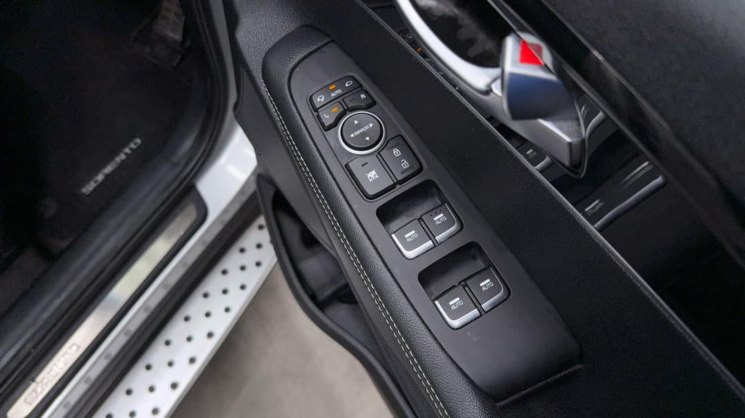 Drivers Side Door Panel Controls